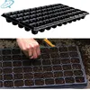 /product-detail/cheap-hydroponic-black-plastic-cell-seed-tray-for-vegetable-60699782629.html