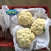 Chinese fresh cauliflower vegetable