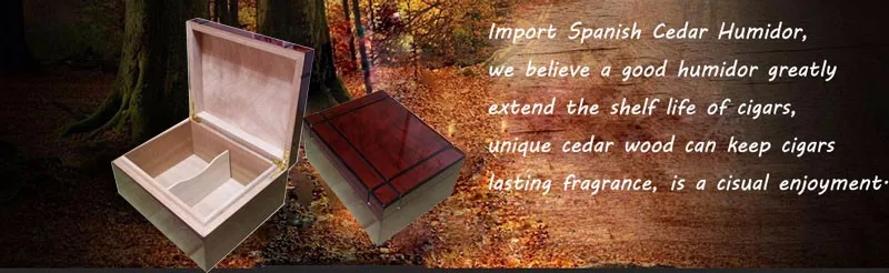 Cigar humidor