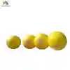 inflatable giant balloon fly Inflatable Colored Round Fly Helium Balloon for advertising