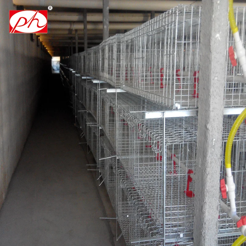 Polyvinyl Chloride Breeding Cages Net