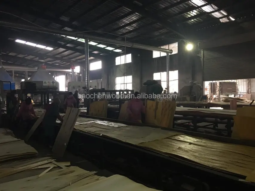 E0 Glue Wooden Lvl Slat/ Curved Lvl Bed Slats/ Flat Poplar Lvl In Best