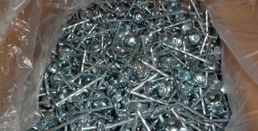 Low Price! Square Head Roofing Nail/large Head Nails / Roofing Nails