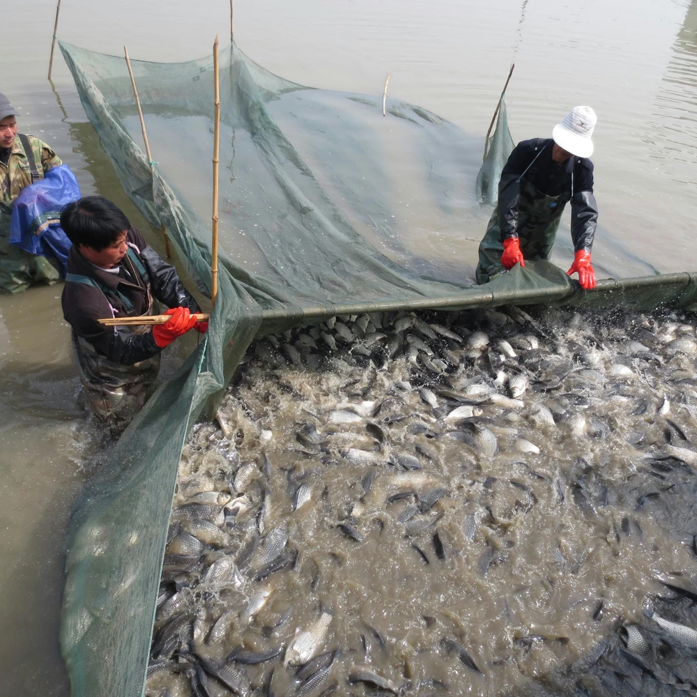 Aquatic product02.jpg