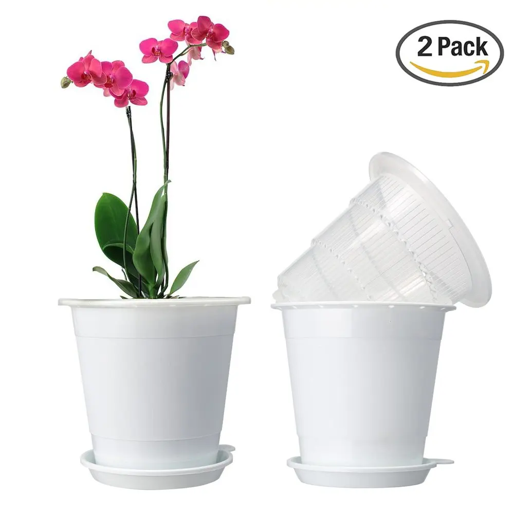 cheap orchid pots