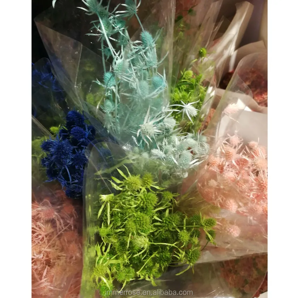 Wholesale Variety Kinds Of Dry Flower Fruit Lover Preserving Flower