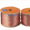 Promotional Wire Brush Copper Carbon Brush Wire