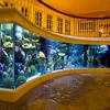 PG Home Style Fish Tank Acrylic Wall Mounted Aquarium