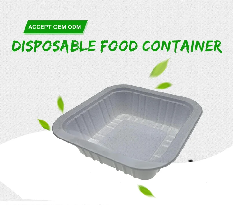 Disposable High Quality Plastic Food Container Lunch Box Buy Cheap