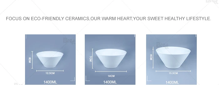 Ceramic Tableware Serving Bowl Set Noodle Bowl