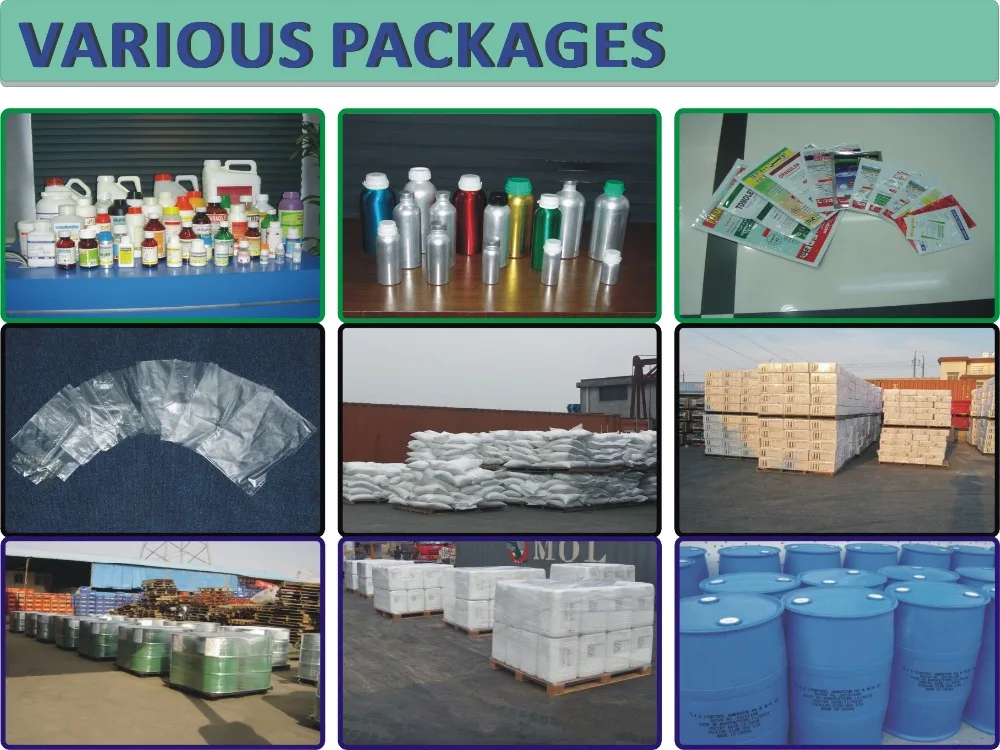 1.VARIOUS PACKAGES.jpg