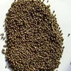 Nitrogen phosphorus compound fertilizer Diammonium phosphate( DAP)/ Monoammonium phosphate (MAP)