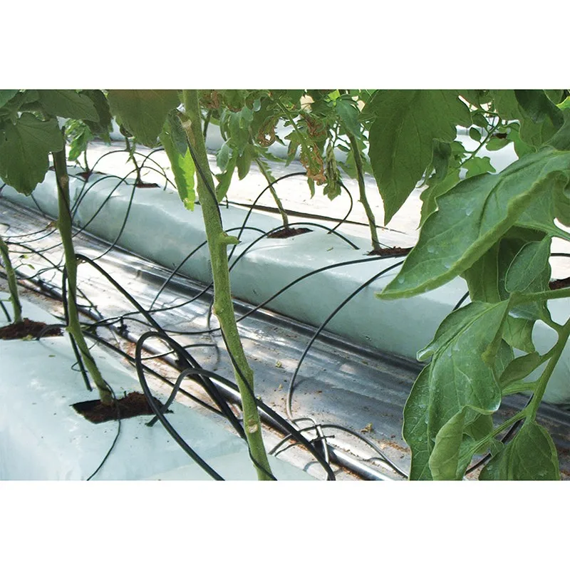 Hydroponics Grow System Gully Pipe For Agriculture Plant Buy Pvc Pipe Hydroponic System Pipe Hydroponics System Gully Hydroponics Plant Pvc Pipe Product On Alibaba Com