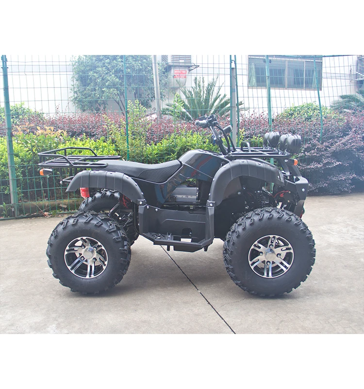 4wd Shaft Driving 2000w*2 Big Power Adults 4x4 Electric Atv Buy