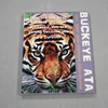 Make my own design blank coated ceramic tile sublimation decoration tiles