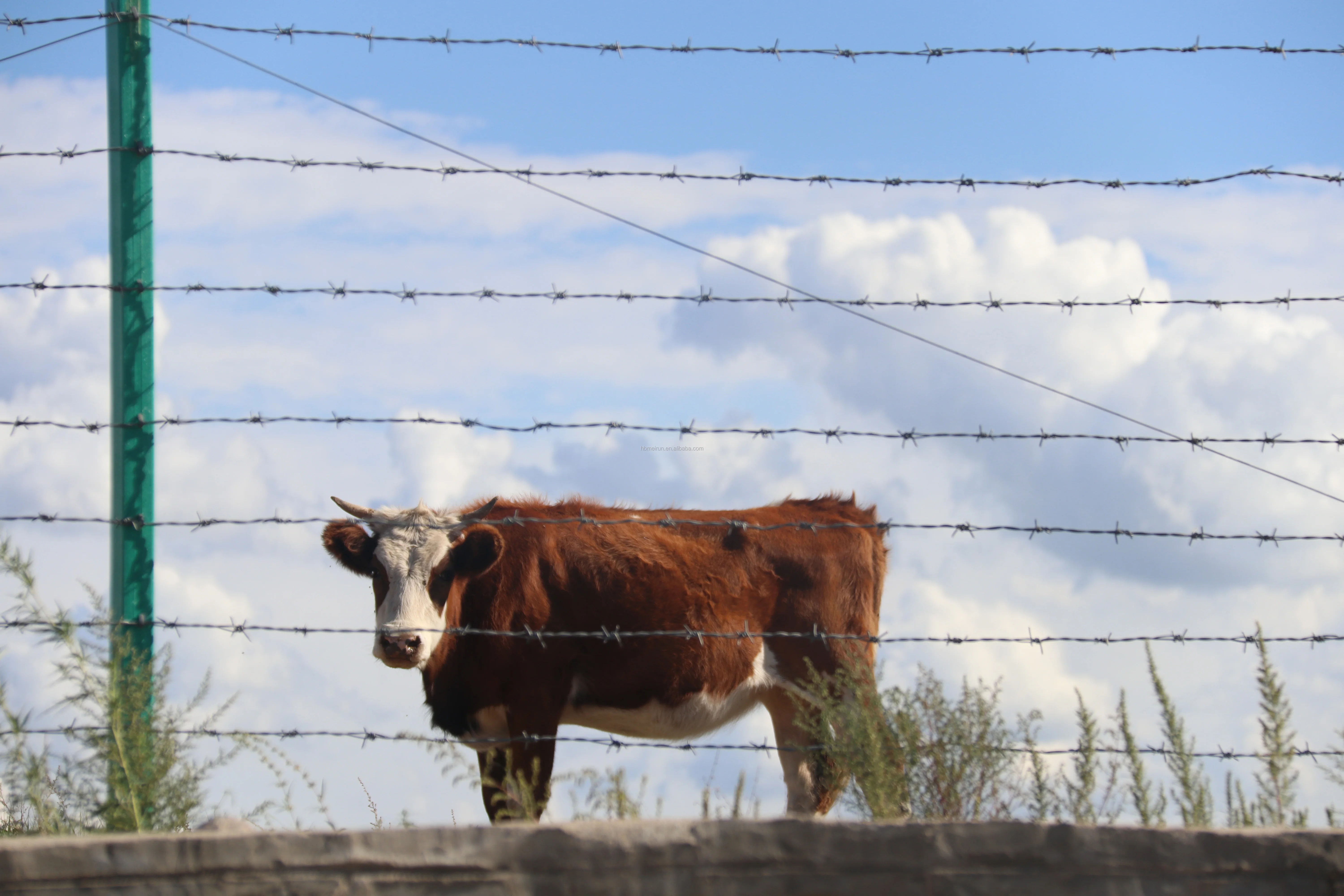 galvanized steel iron barbed wire making machine factory supplier/The factory has more than 20 years of experience