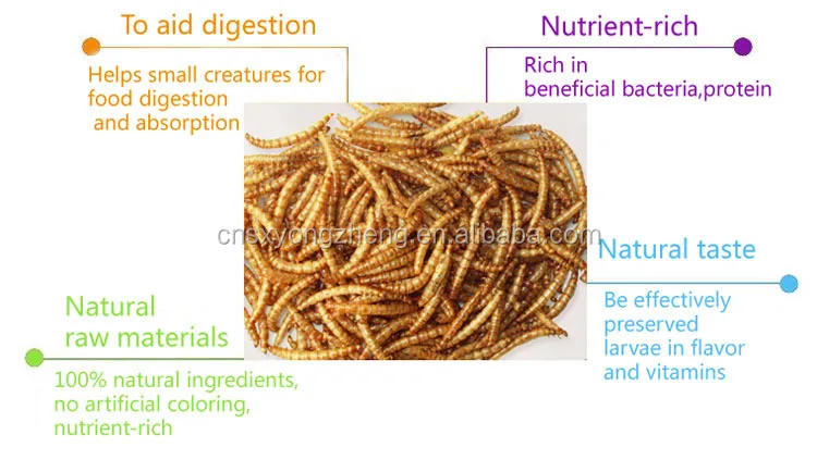 first grade freeze dried mealworm for sale pet food first grade freeze dried mealworm for sale pet food