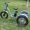 /product-detail/best-selling-48v-500w-3-wheel-fat-tyre-electric-trike-for-adults-60762700652.html