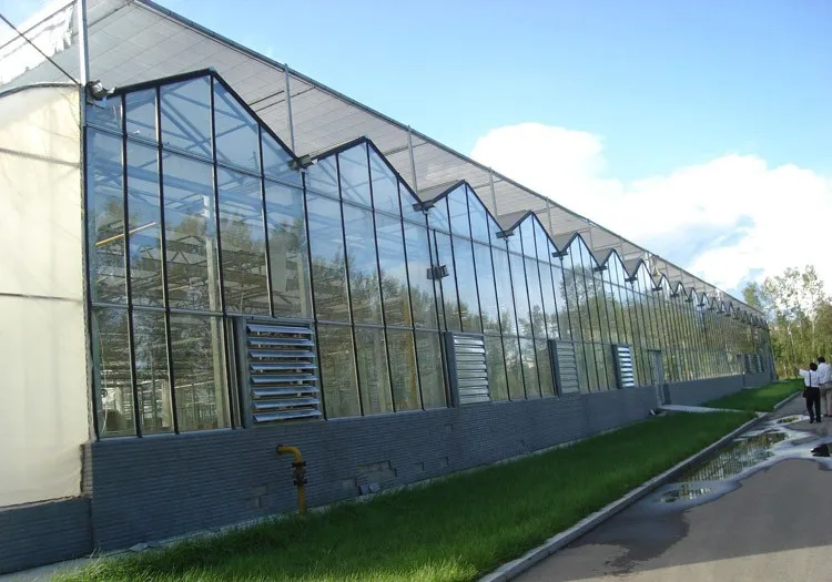 长寿命农业玻璃温室种植