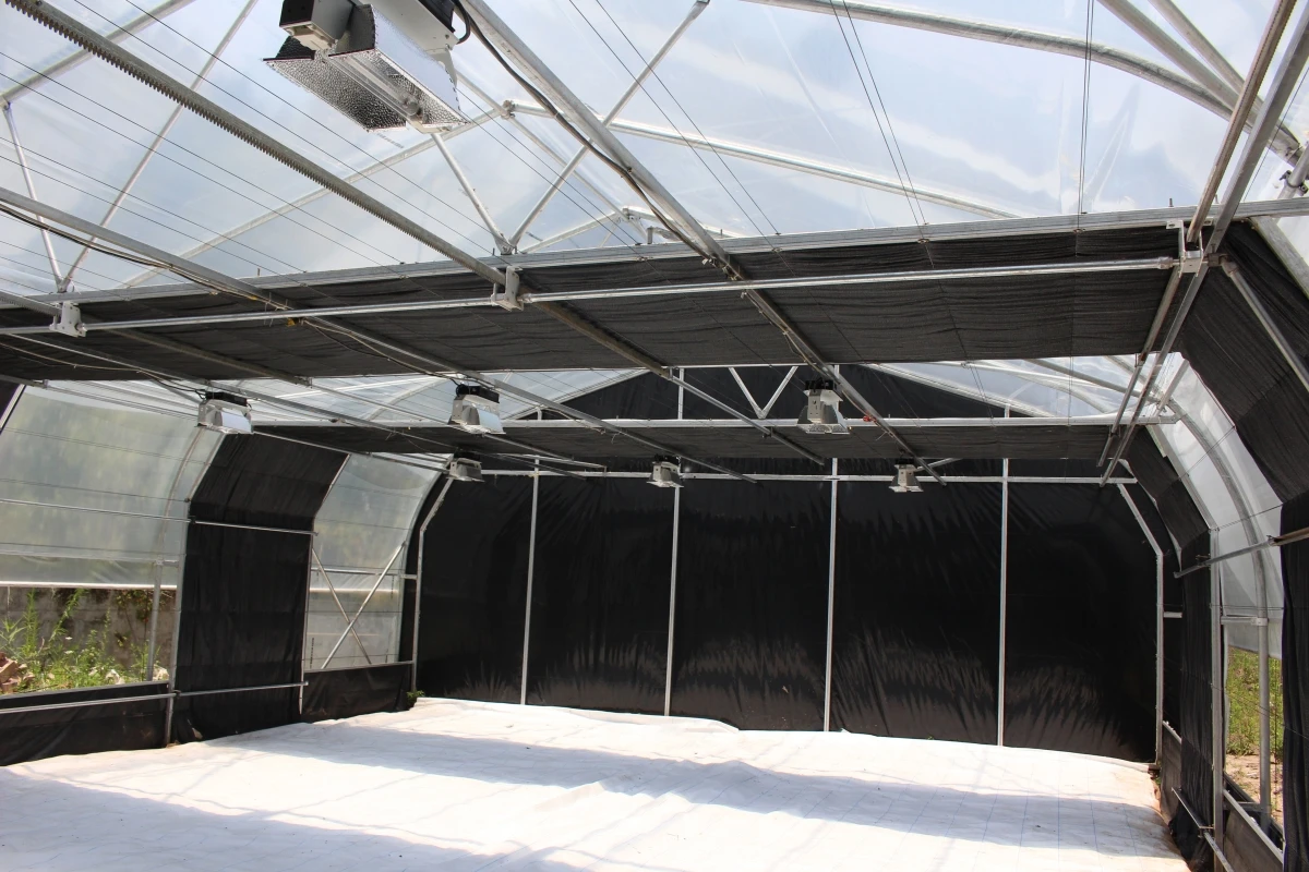 blackout  greenhouse5.jpg