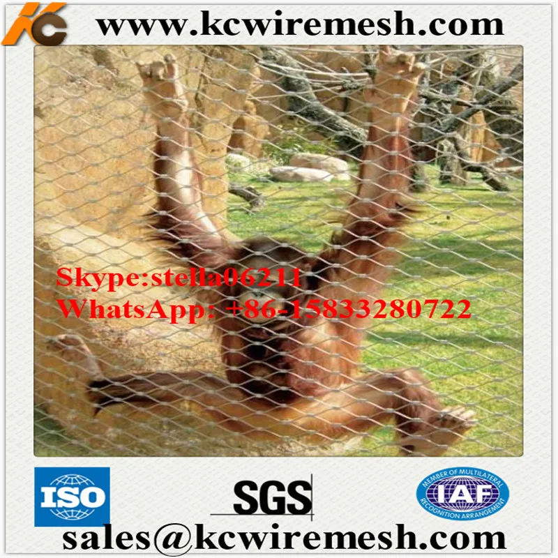 stainless steel rope wire mesh  02.jpg