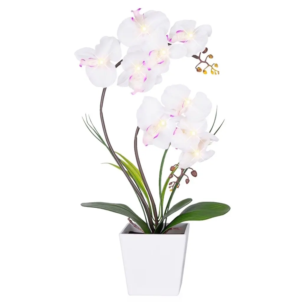 Орхидея в горшке екатеринбург. Белая Орхидея в горшке. Фаленопсис белый в горшке. Орхидея в горшке на белом фоне. Led Орхидея.