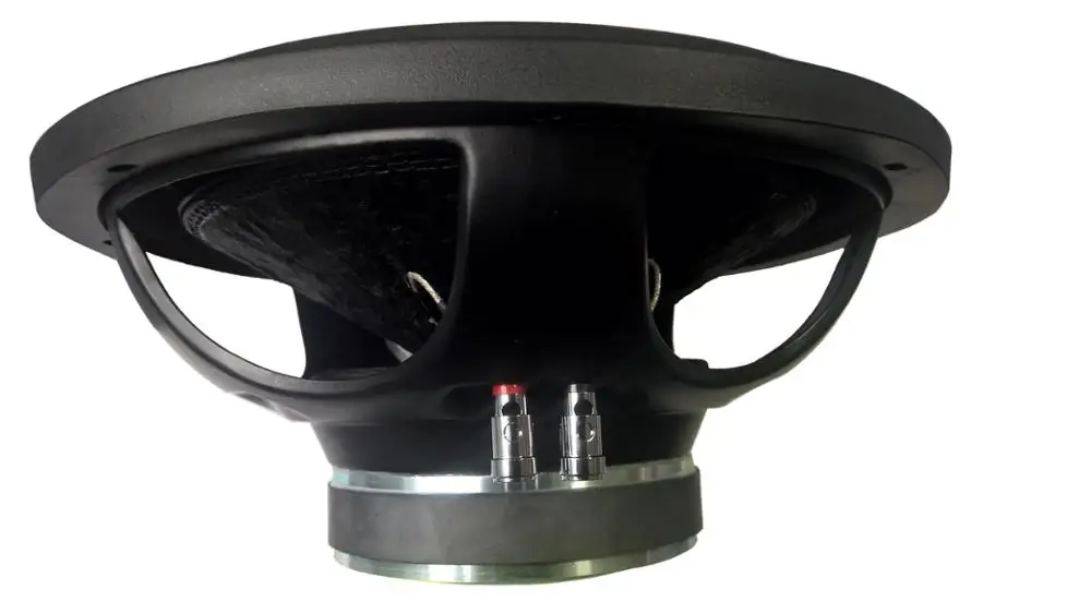 12inch subwoofer .jpg