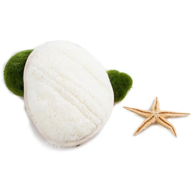 loofahs body sponges