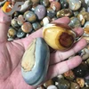 Natural Sea Stone Ocean Agate egg / Sphere for Home Decoration