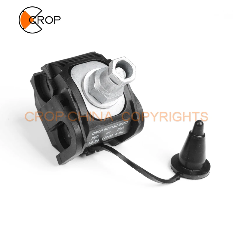 PCT13C 95-50-2.jpg