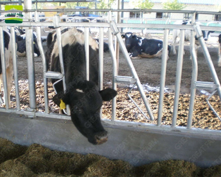 GREAT FARM cattle farm equipment cattle fence galvanized cattle headlock