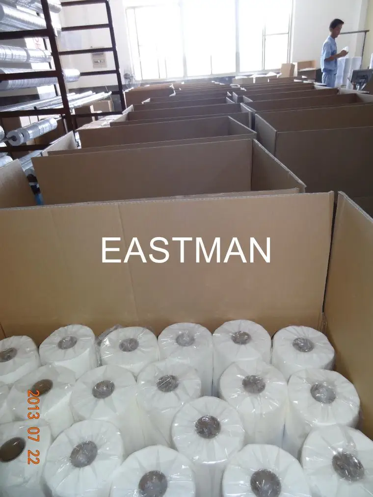 pes hot melt adhesive web.JPG