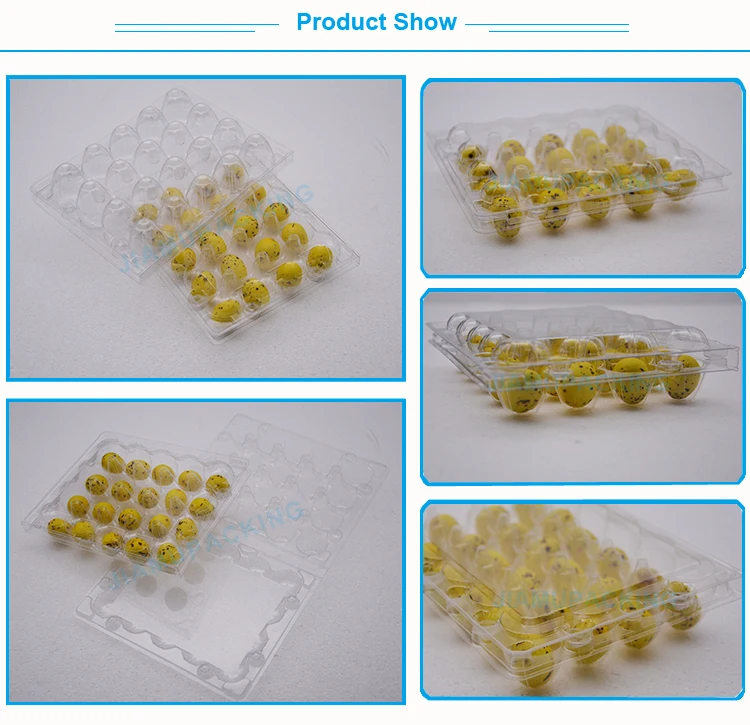 Custom 20 Cells Clear Plastic Quail Egg Crate Storage Tray Box Buy
