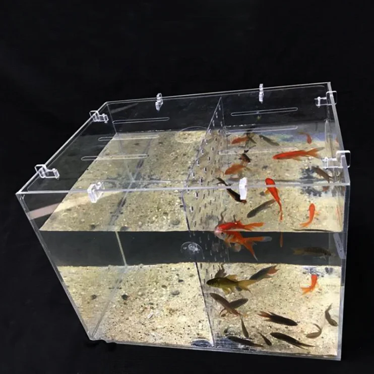 modern plexiglass coffee tabe fish tank