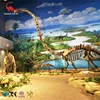 high quality simulation life-size dinosaur skeleton model