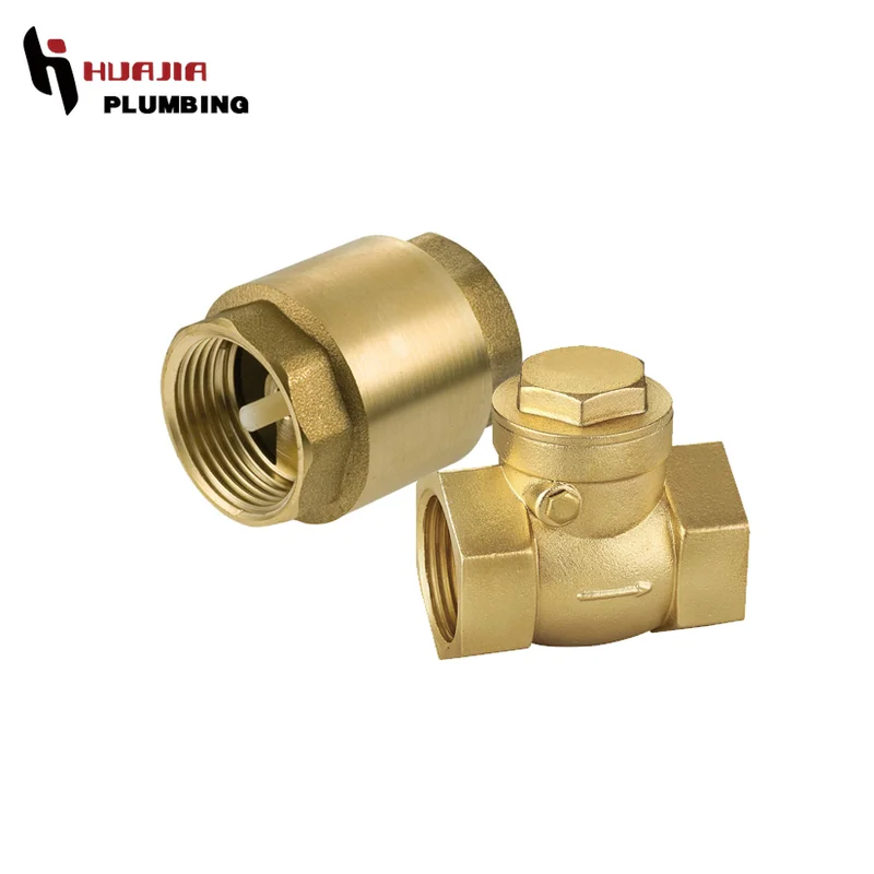 water pump check valve