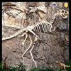 DW-0735 dinosaur fossil wall