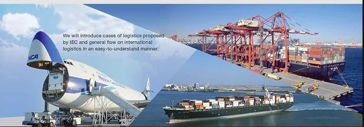 Packing & Delivery.png