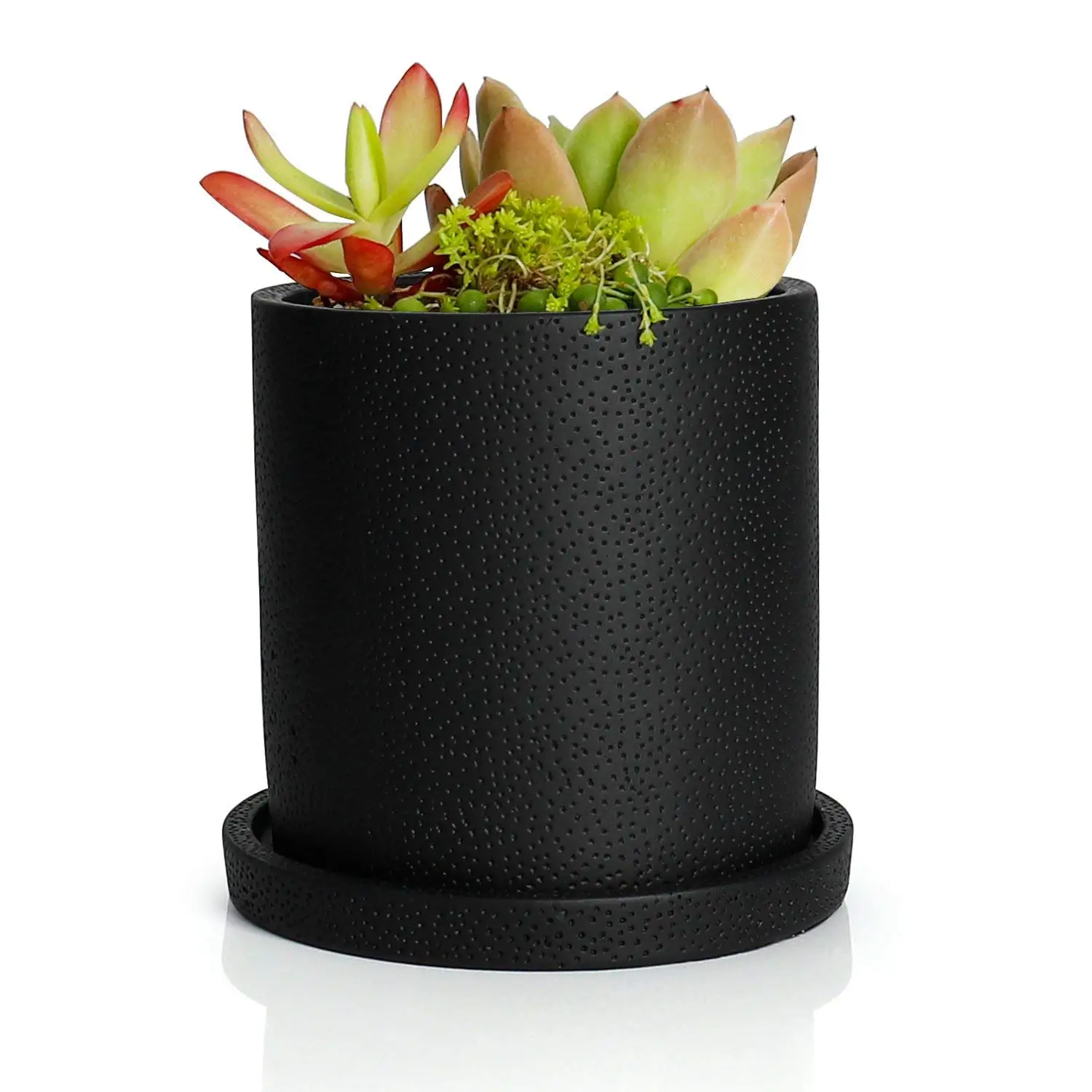 Buy Greenaholics Succulent Plant Pots - 2.76 Inch Small ...