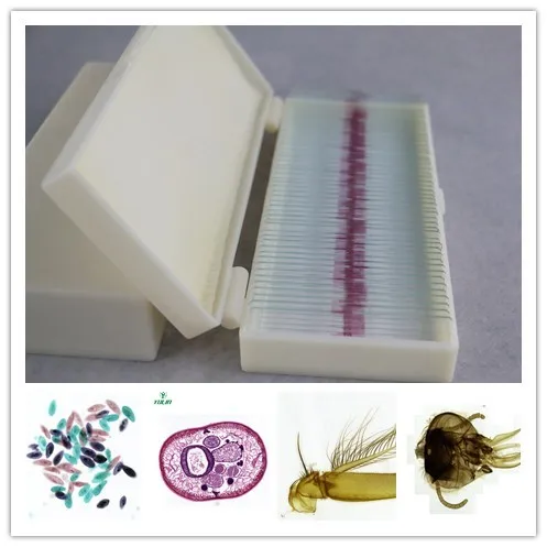 medical human hematology prepared slides blood smear