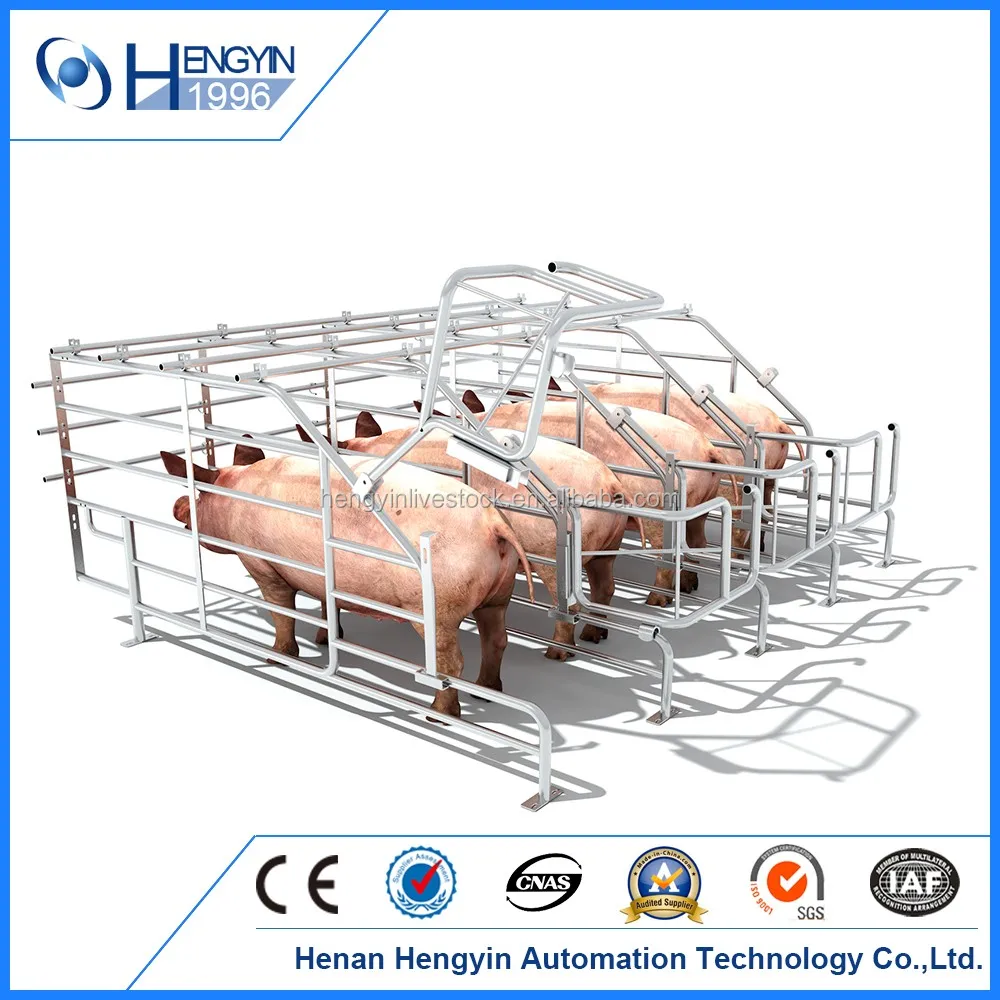 Hengyin New Design Factory Direct Sale Pig Gestation Crates For Sale