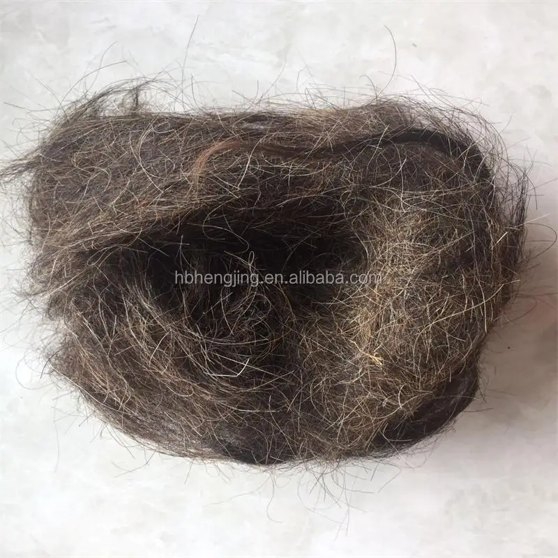 horse hair 3.jpg