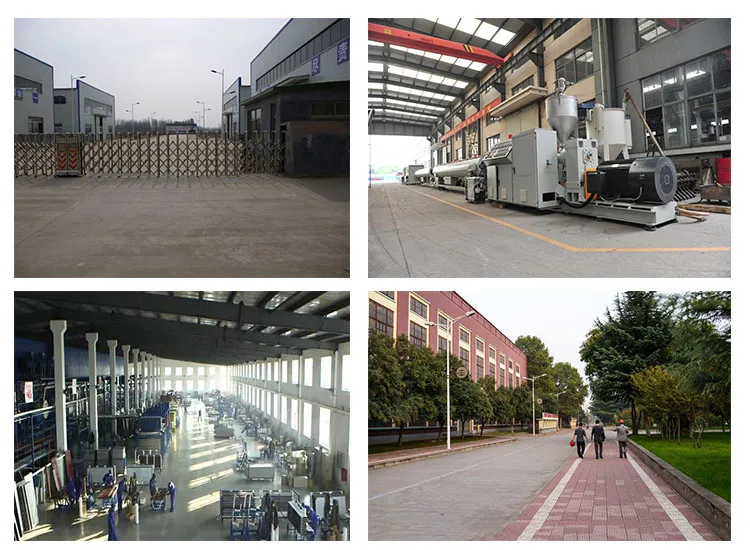 Company Information (5).jpg