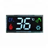 Custom segment lcd cog,2 digit segment display lcd,segment code lcd module