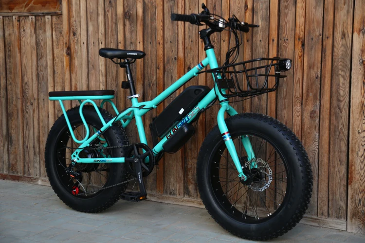 buy fat bike online