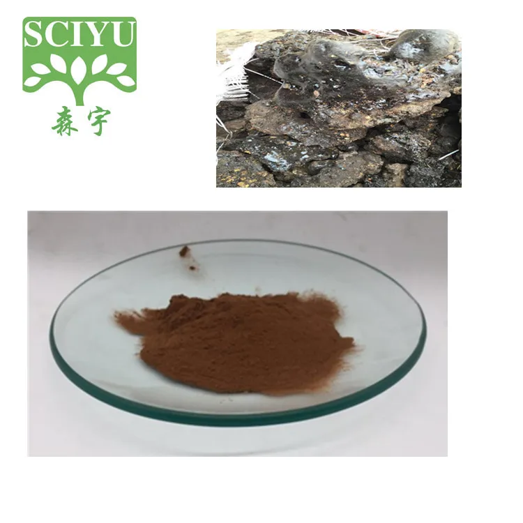 shilajit extract