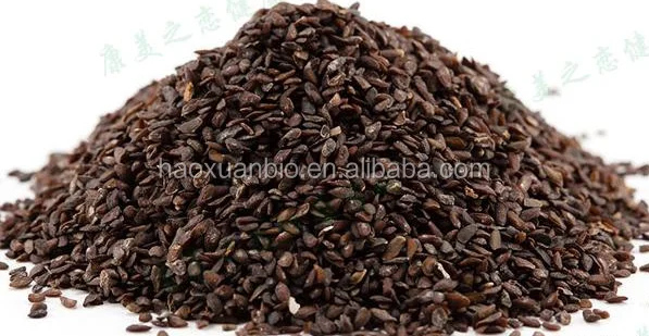 Psyllium plantago adelgazar 20 kilos