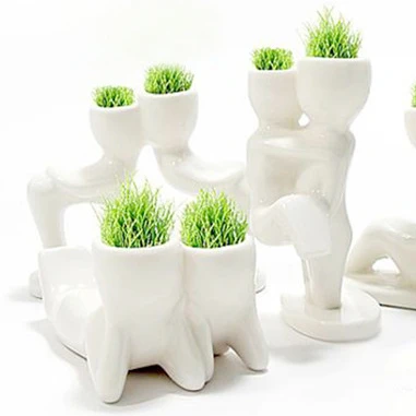Enjoy Plants Интернет Магазин Адрес