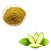 Hot Sales Organic Bitter Melon Power for Drink