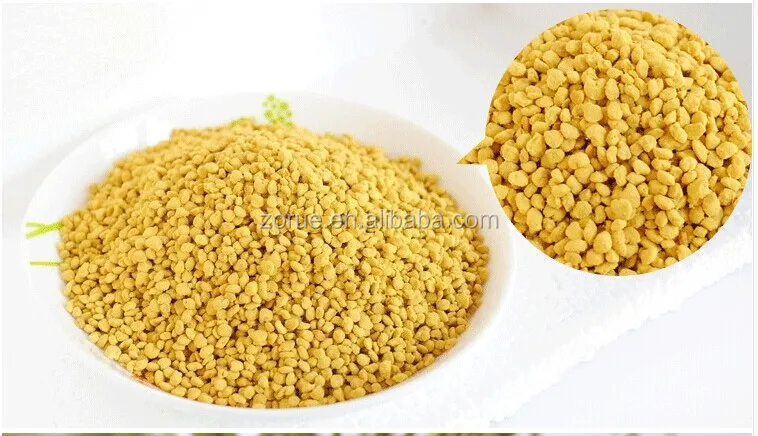 rape pollen 2